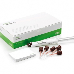 GUTTAFLOW 2 STANDARD SET