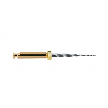 A0410 LIMAS PROTAPER GOLD SX 19mm