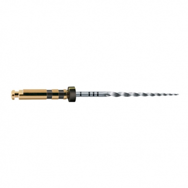 A0411 LIMAS PROTAPER GOLD 31mm F4