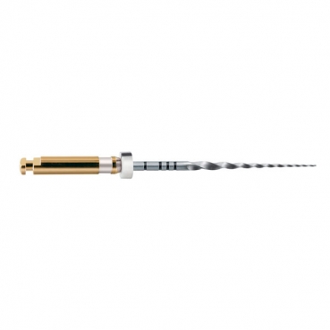 A0410 LIMAS PROTAPER GOLD 31mm S2