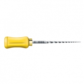 A0417 LIMAS PROTAPER MANUAL F1 25mm 6u.