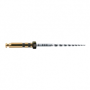 A0411 LIMAS PROTAPER GOLD 21mm F4