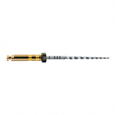 A0411 LIMAS PROTAPER GOLD 21mm F5