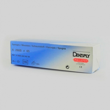 ESPONJAS CLEAN STAND A268S 65
