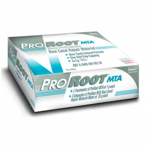 A0405 03 PRO ROOT MTA 2x1gr
