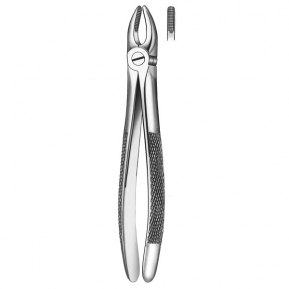 1 FORCEPS MARTIN INCISIVO SUP.