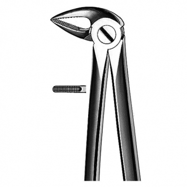 E33A FORCEPS MARTIN RAICES INF.