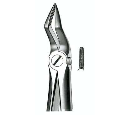 E51A FORCEPS MARTIN RAICES SUP.