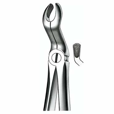 E67A FORCEPS MARTIN CORDAL SUP.