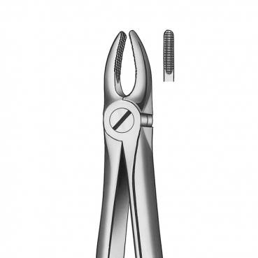 E2 FORCEPS MARTIN INCISIVO SUP.