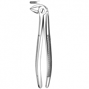 E33 FORCEPS MARTIN RAICES INF.