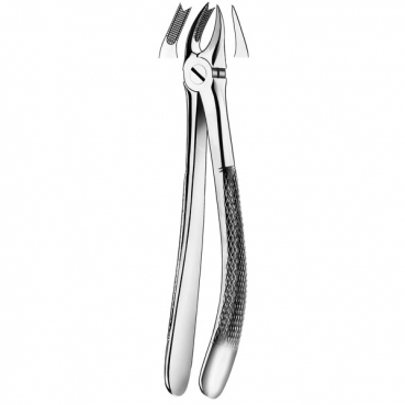 89 FORCEPS MOLAR SUP.DCHA