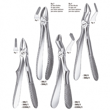 280/4 FORCEPS INFANTIL MARTIN RAIZ SUP.