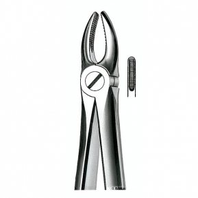 E1 FORCEPS MARTIN INCISIVOS SUP.