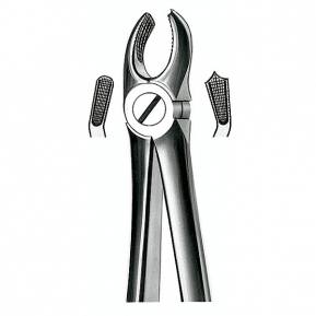 E17 FORCEPS MARTIN MOLARES SUP. DCHA.