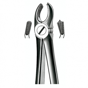 E17 FORCEPS MARTIN MOLARES SUP. DCHA.