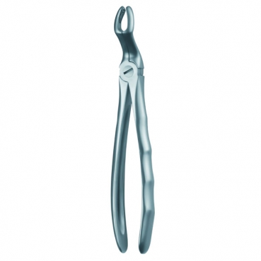 67A FORCEPS MARTIN CORDALES SUP.