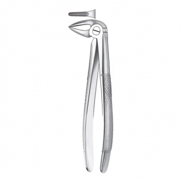 33 1/2 FORCEPS RAICES INFERIORES