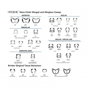 W2 CLAMP SIN ALA PREMOLARES HYGENIC