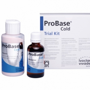 PROBASE COLD PORCION 100g PINK-V