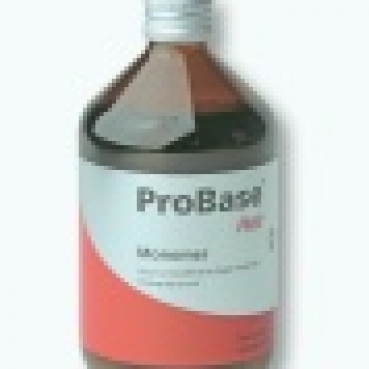 PROBASE HOT LIQUIDO 4x1000ml
