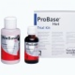 PROBASE HOT PORCION 100g PINK-V