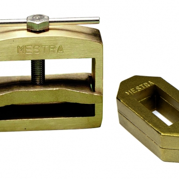 BRIDA PUENTES MESTRA