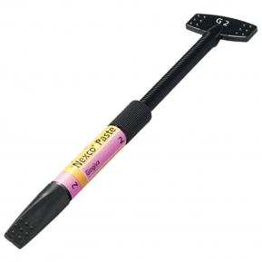 SR NEXCO PASTE INT. GINGIVA 2.5G IG 5