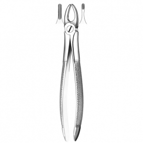 3 FORCEPS INCISIVO-CANINO SUP.