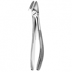 30 FORCEPS RAICES SUPERIORES