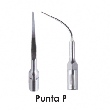 PUNTA P EMS