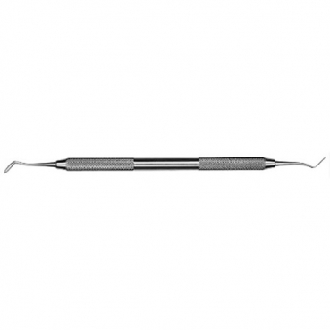 CVHL1/2 TALLADOR HOLLENBACK