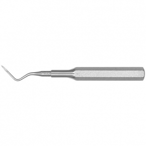 EHB2 ELEVADOR RAICES HEIDBRINK