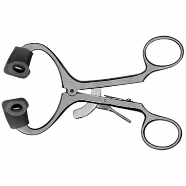 MGA ABREBOCAS ADULTOS MOLT