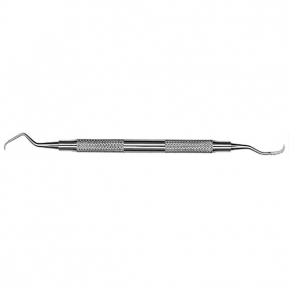 S103/106 LIMPIADOR DE SARRO