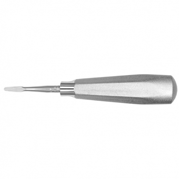 EA ELEVADOR COGSWELL