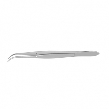 DP1 PINZA PERRY