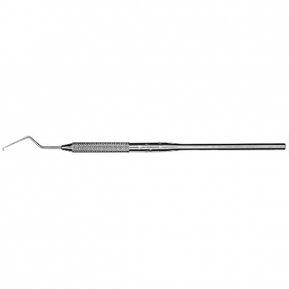 EXTU17 EXPLOR. WILKINS/TUFTS