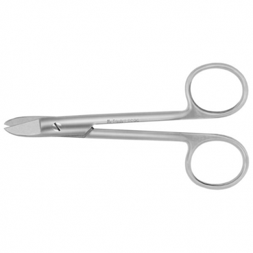 SCGC/12cm.TIJ.RECTA CORONA