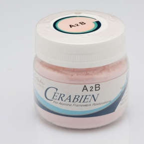 A2B DENTINA CERABIEN 50gr.