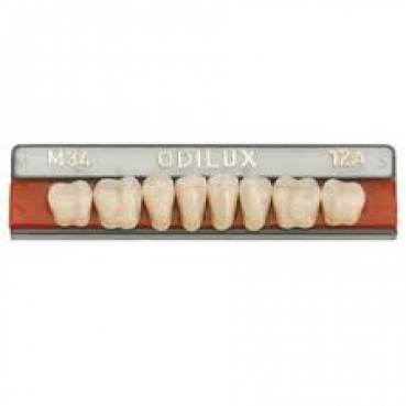 1X8 ODILUX