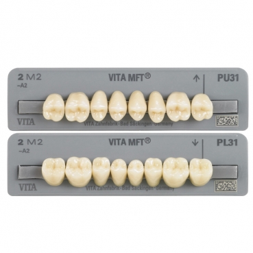 1X8 VITA MFT