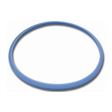JUNTA PUERTA AUTOCLAVE E2, E4, E6, E7,E9