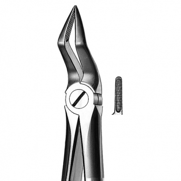 M2051A FORCEPS BUCHS CARL MARTIN
