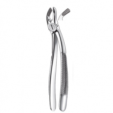 33K FORCEPS INCIS./RAICES NIÑOS MARTIN