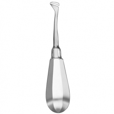 561/24 ELEVADOR RAICES CRYER