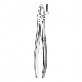 29 FORCEPS