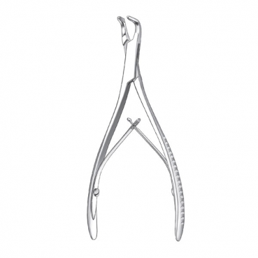 1828/14,5cm. GUBIA M-FRIEDMAN