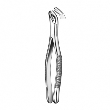 409/17 FORCEPS MOLAR INFERIOR