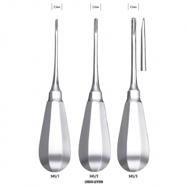 545/1 ELEV.RAICES H.DENTADA